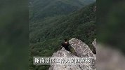 广东一森林公园内有人端坐悬崖边“练功”？网友：这是在玩命