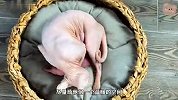 无毛猫妈妈分娩，一口气生下两只小猫，价格十分昂贵