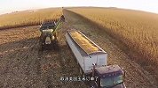 中国突然退回美国70万吨玉米 损失数十亿 几百万吨玉米烂掉