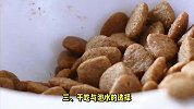 常吃“枸杞”，“升糖还是降糖”呢？干吃与泡水哪个好？