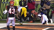 NFL-1516赛季-季后赛-外卡赛-辛辛那提猛虎16:18匹兹堡钢人-全场