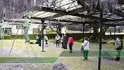惋惜！为防游客聚集 600岁巨型紫藤花被全部剪掉