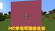 我的世界奇葩MOD，小羊毛发可随意生长，最终变成硕大正方体