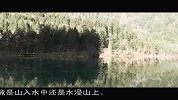 九寨沟-箭竹海