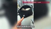 放在窗台的皮包突然冒烟，女子：被化妆镜反光点燃，幸亏及时发现