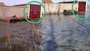 山东一房屋被淹变“海景房”走红 官方回应：系库区违建