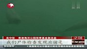 热点-香港亦现江豚集中死亡12天内发现7具江豚尸体