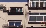 这妈心真大！3岁幼童站8楼窗外玩半小时  亲妈在家硬是没发现