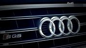 奥迪SQ5 TDI-驾驭激情驰骋上路