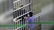 甜甜的爱情来了！情侣开学后隔着栅栏牵手半小时