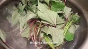 红薯叶别总炒着吃，教你好吃凉拌做法，鲜嫩爽口，大人孩子都爱吃