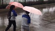 女孩遭老师猥亵跳楼事件宣判：被告人被判2年 逝者父亲将上诉