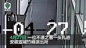 来去匆匆！麂子一头扎进派出所 警察蜀黍回复：动机不明