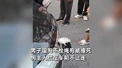 狗被撞死，男子拦车不让走，交警：没狗证没牵绳，狗主人负全责！