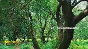 网络直播节目《今日影评》“暑期档光影行”系列直播节日