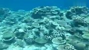 旅游-马尔代夫水下摄像