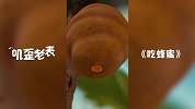 第23集《吃蜂蜜》