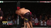 UFC-17年-格斗之夜121：重量级温盾vs迪布拉-单场