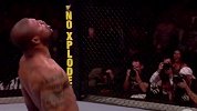 2017UFC年度十大KO