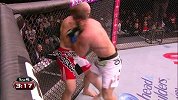 UFC-14年-UFC179自由格斗：特谢拉vs贝德-专题