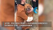 狗狗山中走丢24天找到瘦了20斤，主人喜极而泣：都摸到排骨了