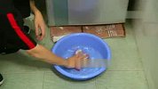生活-如何清洗冰箱
