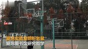 又现学霸宿舍！川大学霸寝室6人获15个名校offer