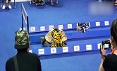 北京德比演绎现实版龟兔赛跑 北控末节狂飙反败为胜