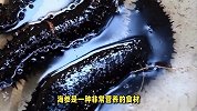 揭秘海茄子和海参的区别，你真的懂它们吗？