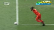世界杯-14年-小组赛-F组-第3轮-波黑队伊比舍维奇射门偏出-花絮
