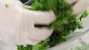【日日煮】烹饪短片—海盐香醋羽衣甘蓝脆片