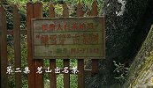 【非凡匠人】问茶太姥— 茗山出名茶（第二集）