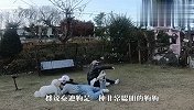 主人突然“昏倒”，看到两只泰迪的举动，网友：太机智了吧