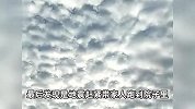 山东地震前一天男子拍到鱼鳞状云，官方：地震云与地震并无任何关联