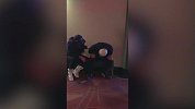 恭喜唐先生！唐斯得知自己入选全明星替补阵容后喜极而泣