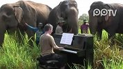 英男子十余年对一群盲大象弹钢琴
