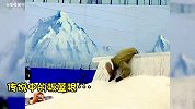 盘点滑雪失误爆笑瞬间，太尴尬了，滑雪社死现场