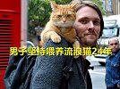 回收工人喂养流浪猫24年，只要他按下喇叭，猫咪就会蜂拥而出