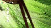 嫩绿油菜搭配鲜韧香菇，在鲜菇扒油菜中品尝平淡的幸福
