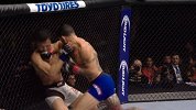 UFC-17年-格斗之夜108前瞻：斯旺森精彩对战集锦-专题