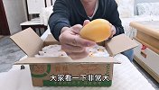 开箱测评首批福建枇杷，种植历史达1000年以上，买一送一划算
