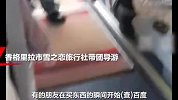香格里拉一导游辱骂不购物游客“死猪不怕开水烫”，已被立案调查