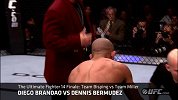 UFC-13年-本周最佳降服：布兰道拳如雨下 贝穆德斯惨遭肆虐（4月2日）-精华