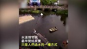 另类比赛！荷兰特色运动水道撑竿跳 你见过吗？