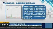 电力板块开盘拉升，盐湖提锂板块拉升走高