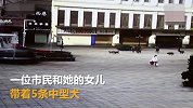 遛狗还是洗澡 母女俩专挑步行街喷泉为5条狗洗澡