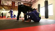 UFC-14年-UFC179倒计时：费雷拉vs达里尤什对战前瞻-专题