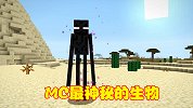 MC最神秘的末影人，自带多项隐藏秘密，完全解读才算懂游戏