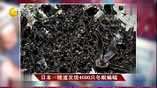 旅游-日本一隧道发现4000只冬眠蝙蝠