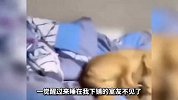 猴子都会玩手机了，这是要成精了吗？